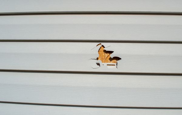 Siding Hole Patching in Huntsville